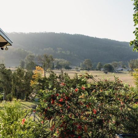 Greenlee Cottages Canungra Zewnętrze zdjęcie