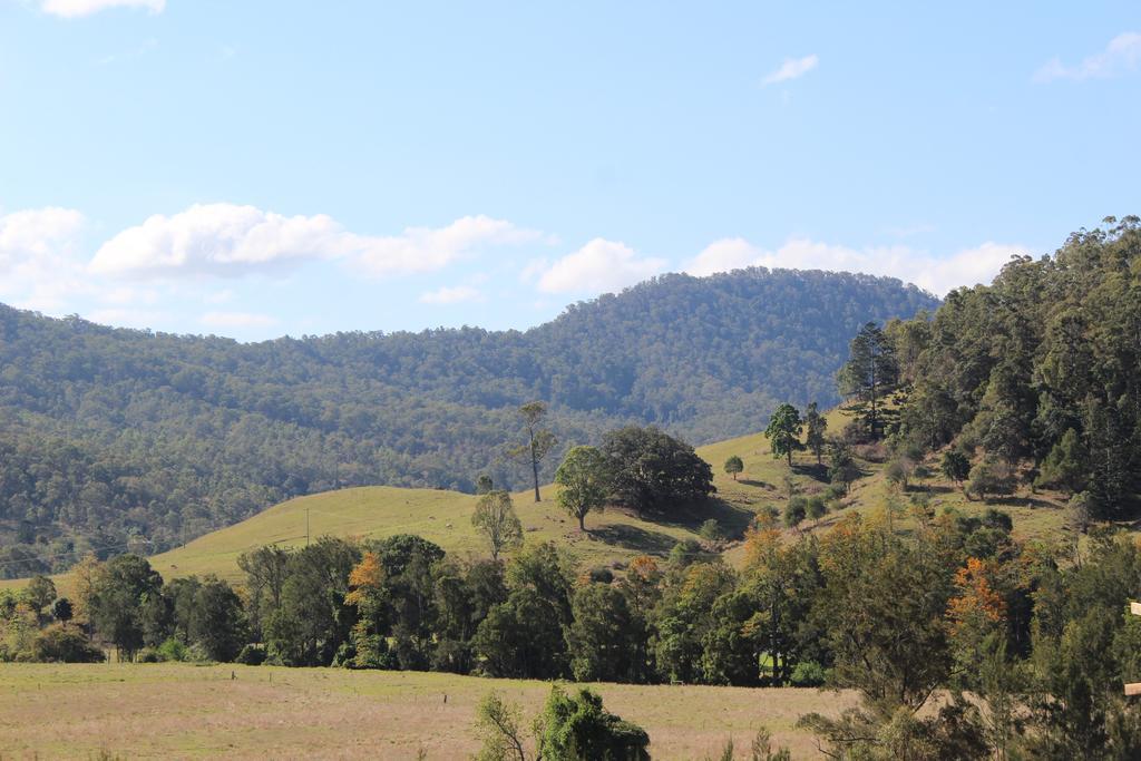 Greenlee Cottages Canungra Zewnętrze zdjęcie