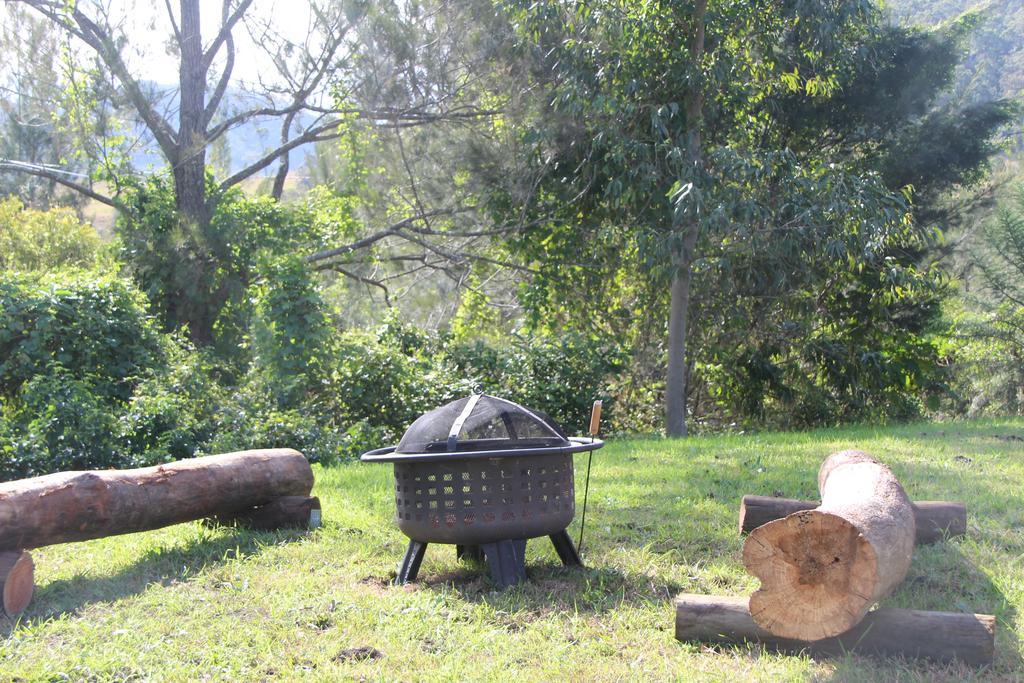 Greenlee Cottages Canungra Zewnętrze zdjęcie